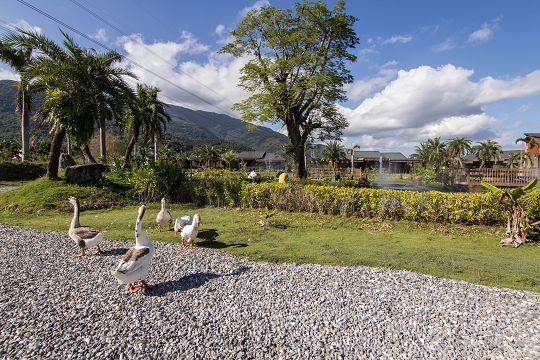 Ruisui Palm Lakes B&B Zewnętrze zdjęcie
